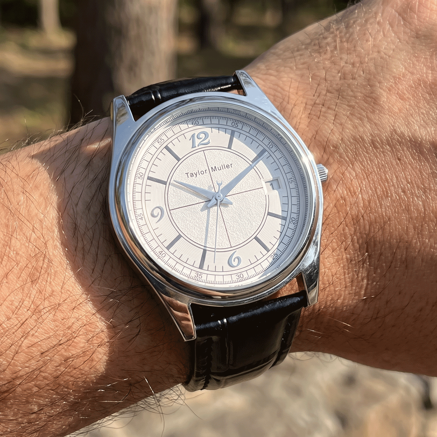 Taylor Muller Men’s Watches TM1023G